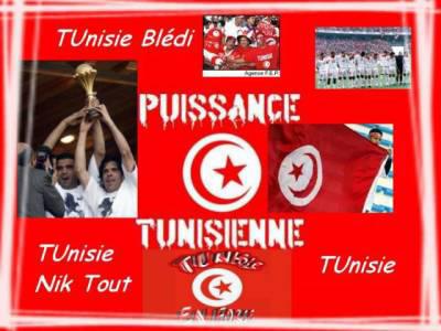 PuIsSaNcE TuNiSiEnNe RePreSeNte